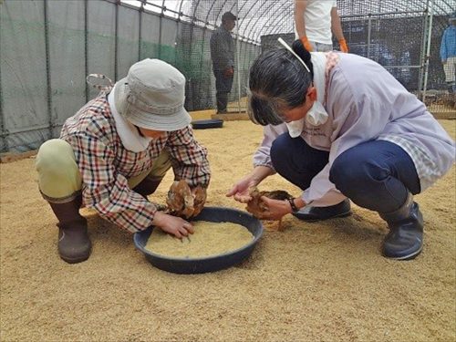 写真：作業の様子