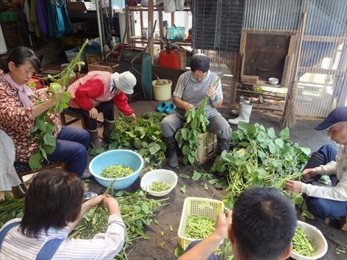 写真：作業の様子