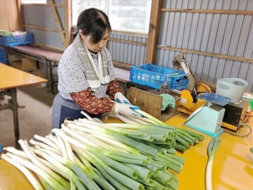 写真：農耕現場