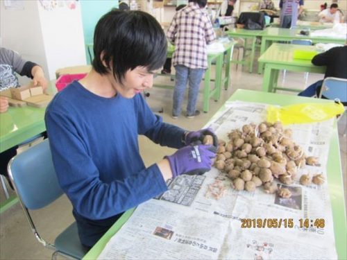 写真：自主製品（野菜）