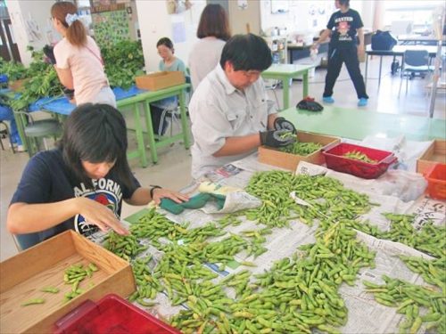 写真：自主製品（野菜）