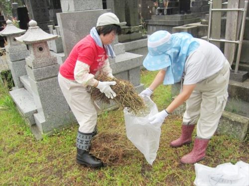 写真：除草現場