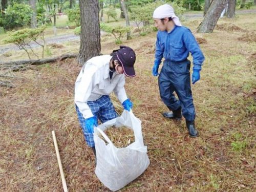 写真：除草現場