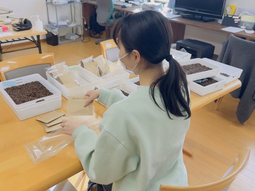 写真：袋詰め作業の様子