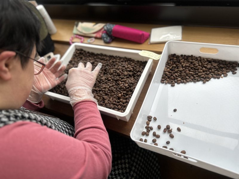 写真：コーヒー豆選別作業の様子